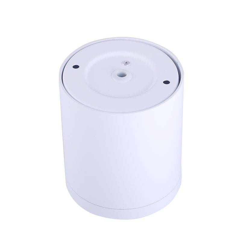 Candeeiro de teto CCT "GESS" COB 25W IP54