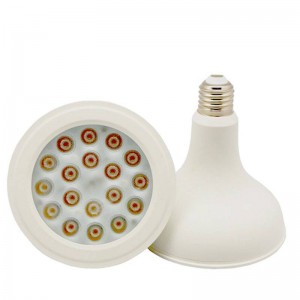 Lâmpada LED PAR38 E27 15W IP65