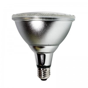 Lâmpada LED PAR38 E27 12W IP65