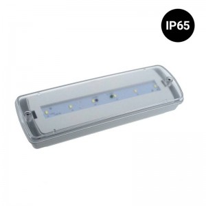 Luz de emergência LED impermeável IP65 3W 3 horas de autonomia