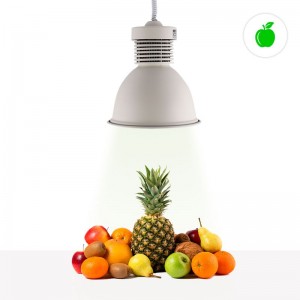 Campânula LED de 36W especial para legumes e frutas