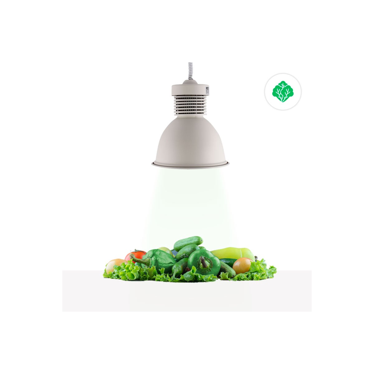 Campânula LED de 36W especial para hortaliças
