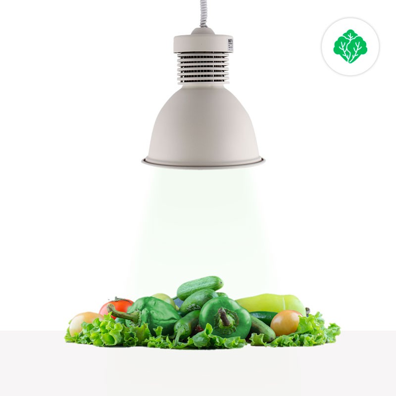 Campânula LED de 36W especial para hortaliças