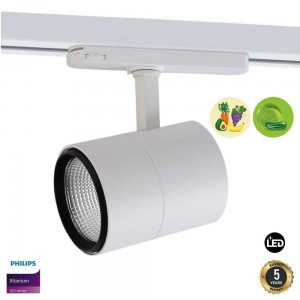 Projector LED trifásico de 30W para iluminar legumes e frutas