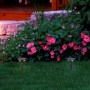 Candeeiros de jardim