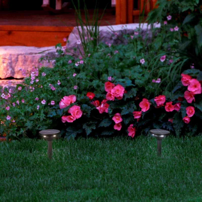 Candeeiros de jardim