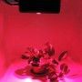 Painel LED de cultivo GROW-PRO 270W
