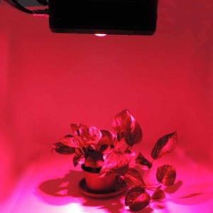 Painel LED de cultivo GROW-PRO 270W