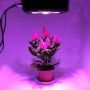 Painel LED de cultivo GROW-PRO 270W Painel LED de cultivo GROW-PRO 270W