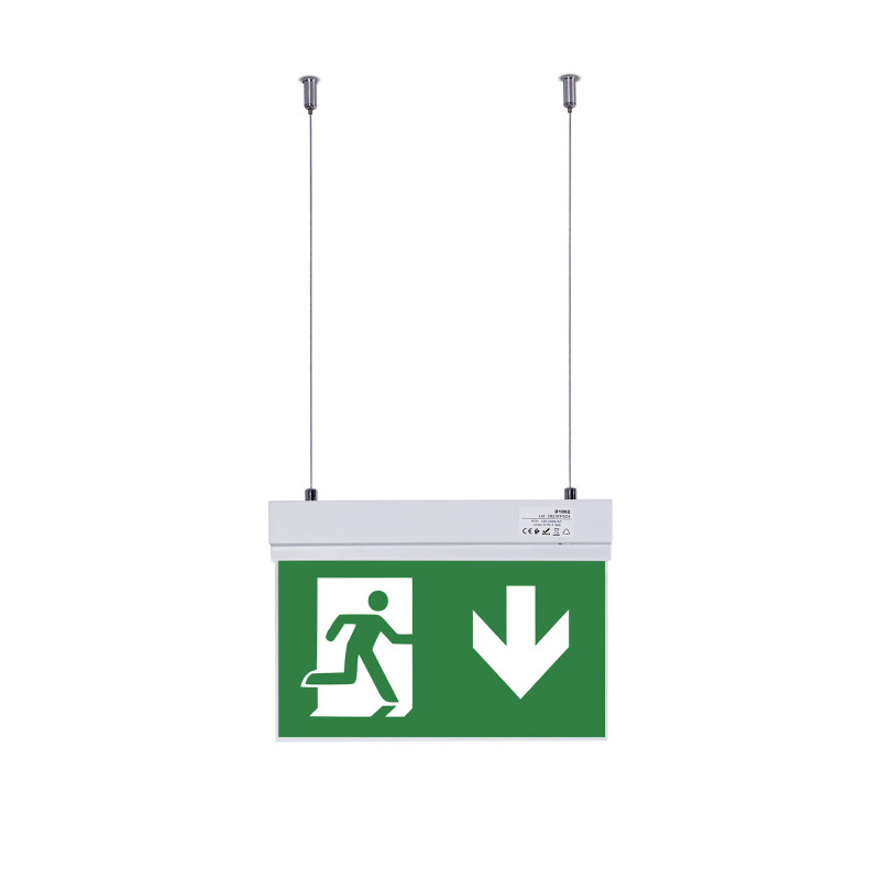 Luminária de emergência da suspensão com o pictograma "Saída seta para baixo".