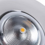 Foco downlight LED para talhos