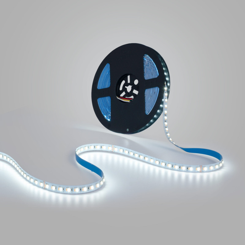Fita LED CCT- branco frio Fita LED CCT- branco frio