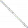 chips LED SMD2835