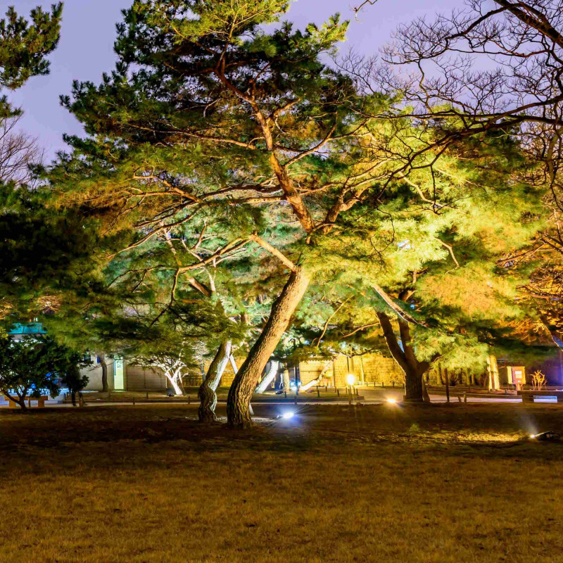 Projetor LED exterior 50W CCT - Série "PRO" - 110lm/W - IP66 | holofotes led exterior Projetor LED exterior 50W CCT - Série "PRO" - 110lm/W - IP66 | holofotes led exterior