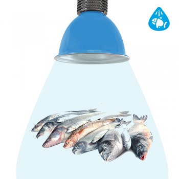 Campânula LED 30W especial para peixarias Campânula LED 30W especial para peixarias