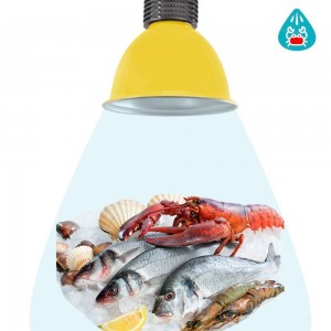 Campânula LED 30W especial para peixes e marisco