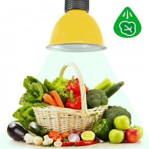 Campânula LED 30W especial para lojas de vegetais