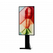 Display LCD FULL HD 55"...